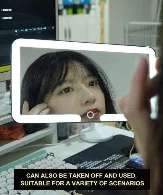 Passenger Princess Mirror